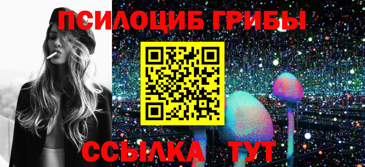 Псилоцибиновые грибы Cubensis  Галлюциногенные грибы ЛСД  даркнет сайт  Вход с VPN  Елец 